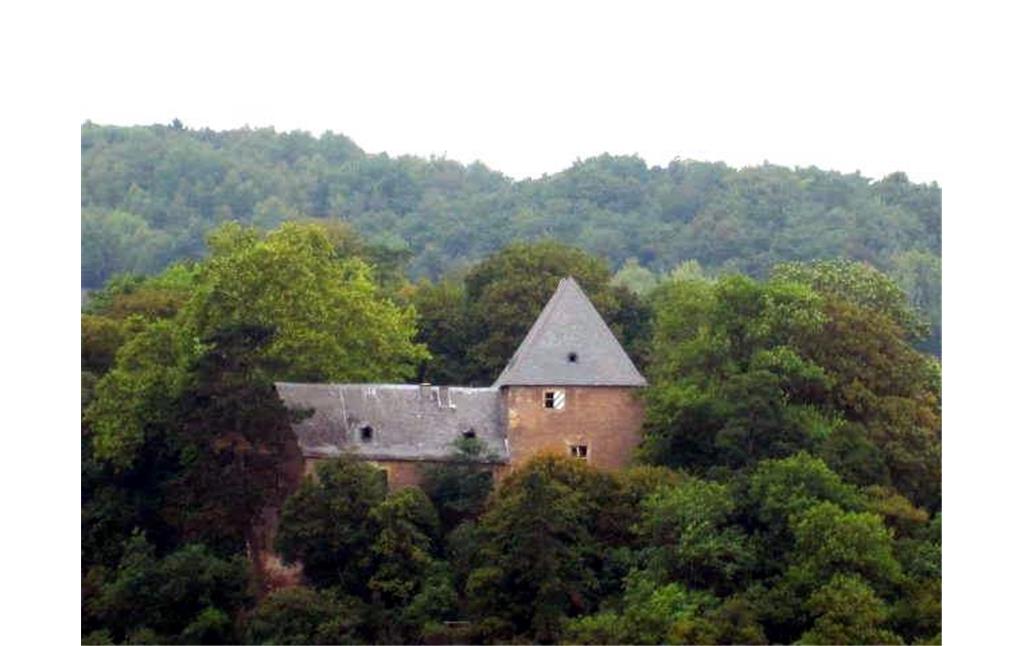 Burg Gollenfels oberhalb von Stromberg (2014).