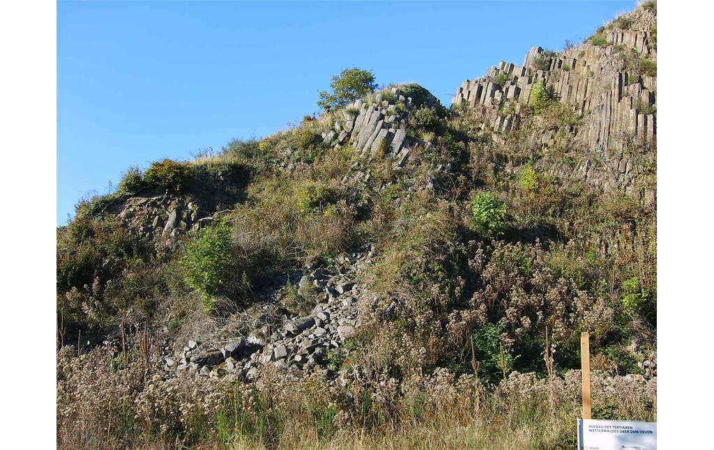 Der Basaltkegel Roßbacher Häubchen mit ehemaliger Basaltgrube bei Roßbach (2007).