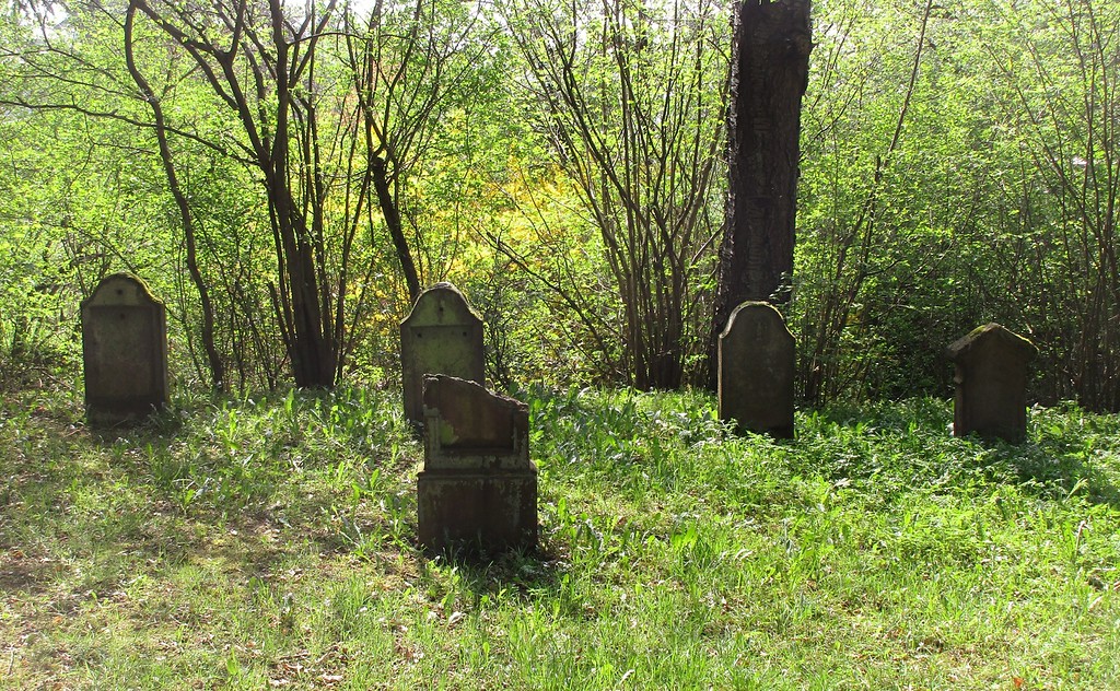 Jüdischer Friedhof Lutzerath: Der nördliche Teil des Gräberfelds (2018).