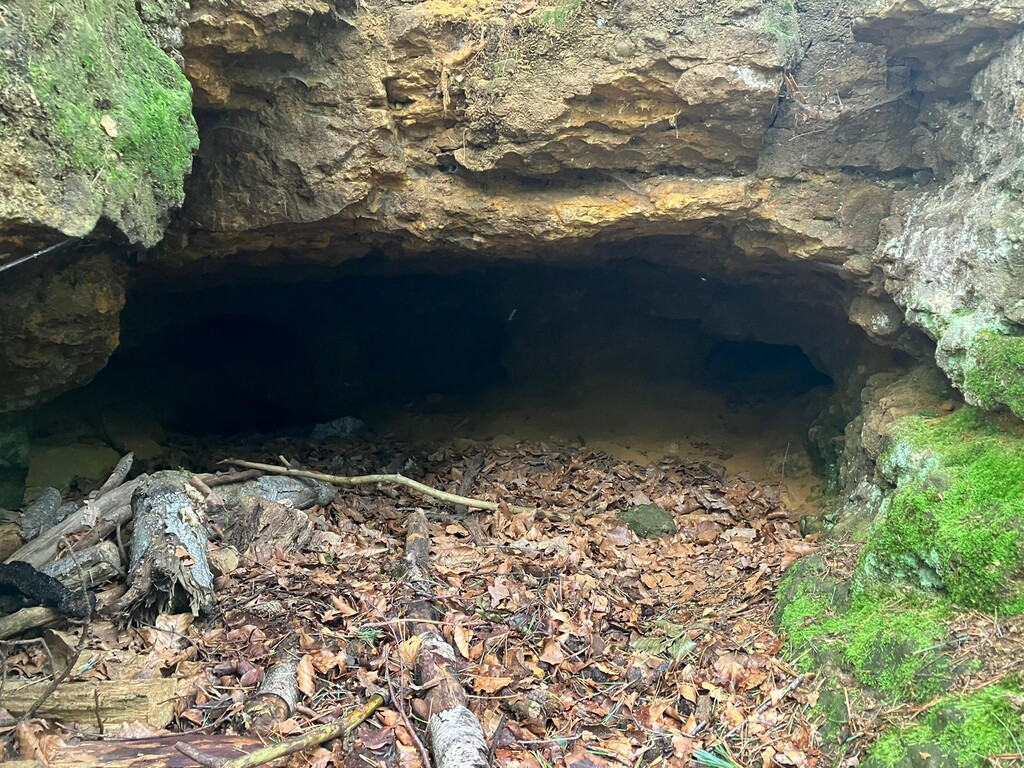 Die "Brotmanns Höhle" in der Üfter Mark im westlichen Münsterland (2023).