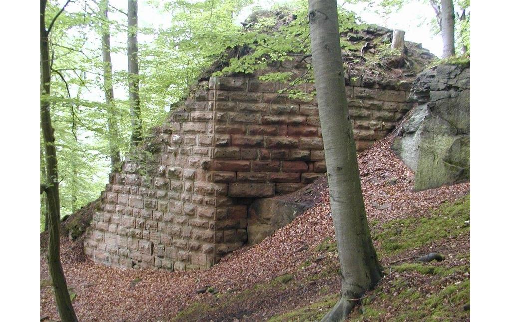 Rest der Schildmauer der Burgruine Lichtenstein bei Neidenfels.