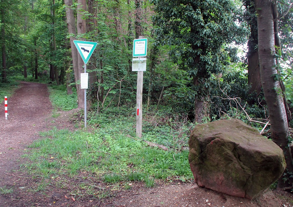 Zugangsweg zum Naturschutzgebiet im Königsdorfer Wald bei Pulheim-Dansweiler (2019).