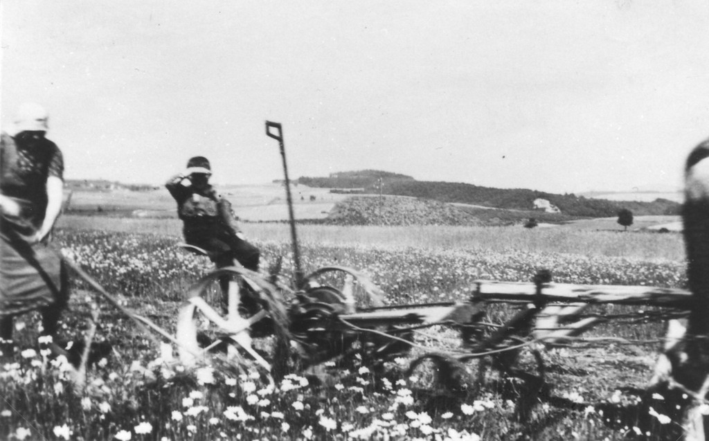Bauersleute bei der Feldarbeit in der Gemarkung Kolverath (1938)