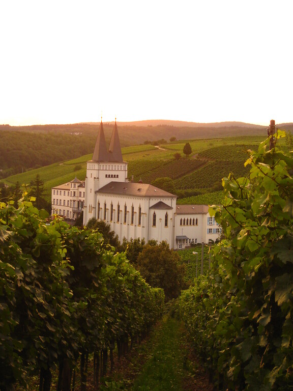 Blick aus östlicher Richtung durch die Weinberge auf Kloster Johannisberg, welches unter Schloss Johannisberg liegt (2010).