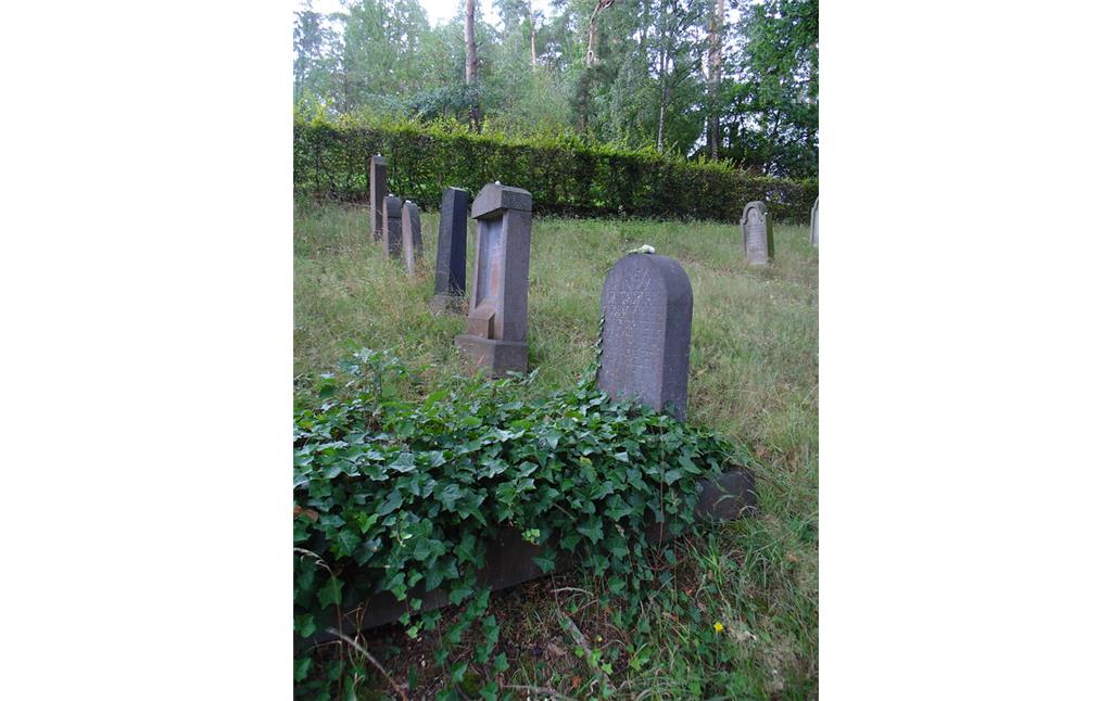Teils mit Efeu bewachsene Gräber auf dem jüdischen Friedhof Kommern (2020)