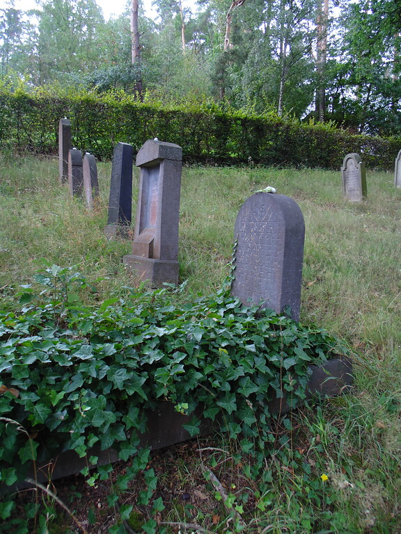 Teils mit Efeu bewachsene Gräber auf dem jüdischen Friedhof Kommern (2020)