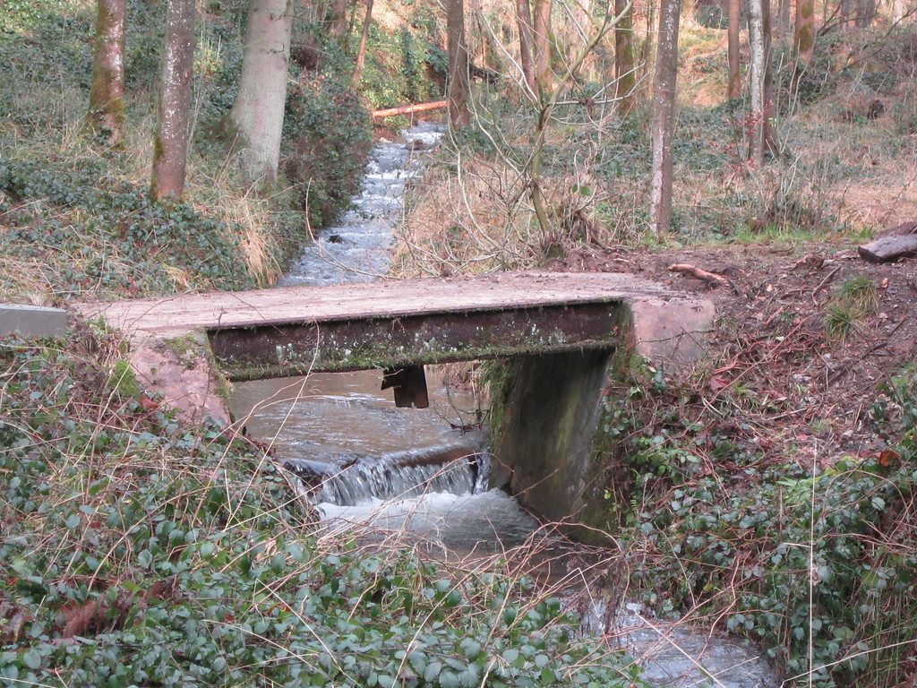 Reste einer Brücke der Feldbahn im Elisenthal in Windeck (2012)