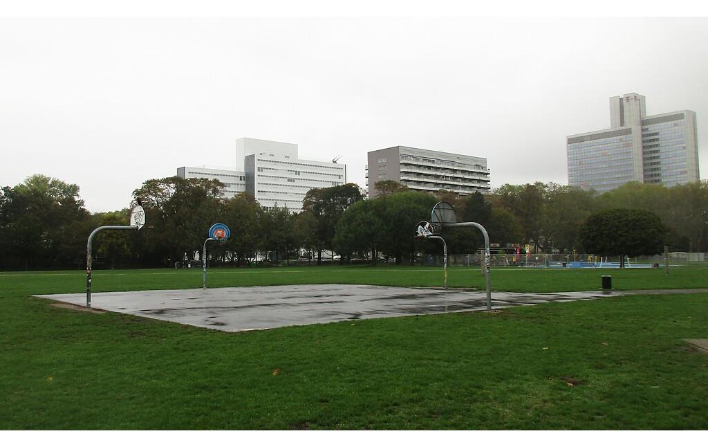 Ein Basketballfeld im Park des Inneren Grüngürtels zwischen Vogelsanger Straße und Venloer Straße (2020), die Spielfläche ist ein früherer Landeplatz des Internationalen Hubschrauber-Flugplatzes "SABENA-Heliport Köln".