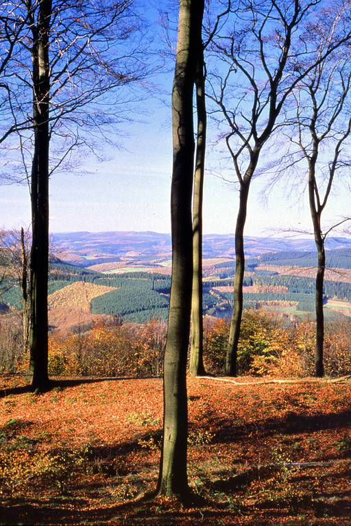 Blick vom Burgberg der eisenzeitlichen Ringwallanlage Alte Burg bei Netphen-Obernau, Kreis Siegen-Wittgenstein