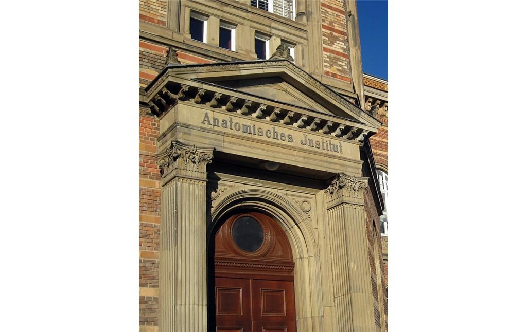 Eingangsportal des Anatomischen Instituts, Nussallee 10 (2012)