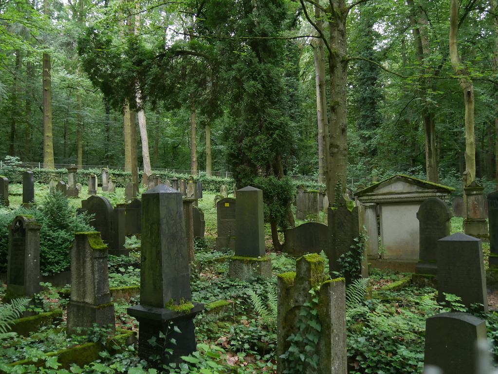 Grabsteine auf dem jüdischen Friedhof am Schafsberg in Limburg (2017)