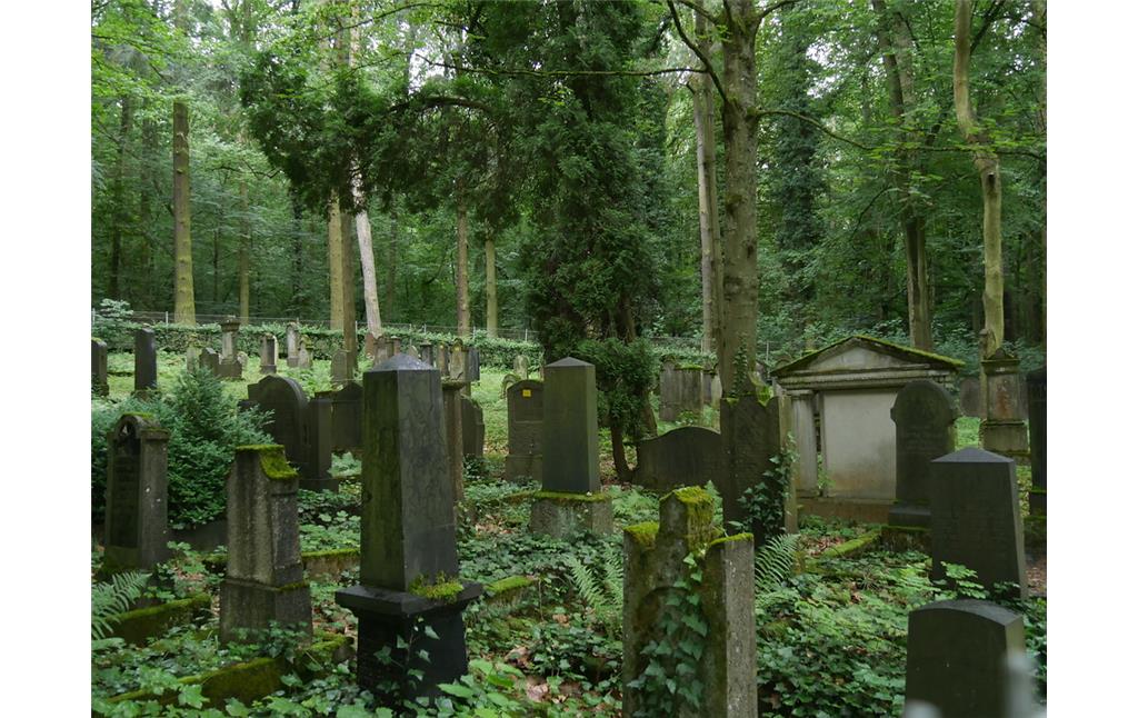 Grabsteine auf dem jüdischen Friedhof am Schafsberg in Limburg (2017)