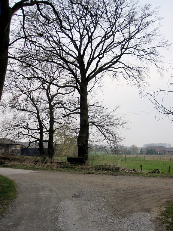 Kulturlandschaft in Uedemerbruch mit einer Wegegabelung, wegbegleitenden Bäumen und Gehöften im Hintergrund (2011)