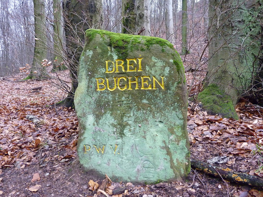 Ritterstein Nr. 14 Drei Buchen an der Burgruine Guttenberg (2012)