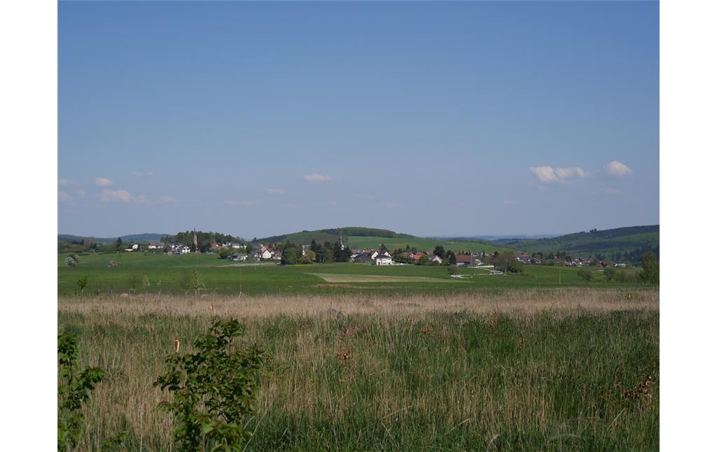Panorama über die Ortsgemeinde Dörrebach (2016)
