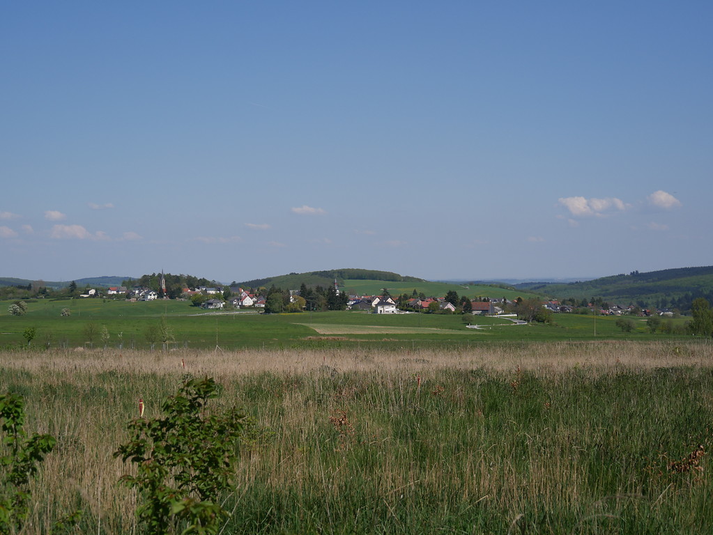 Panorama über die Ortsgemeinde Dörrebach (2016)