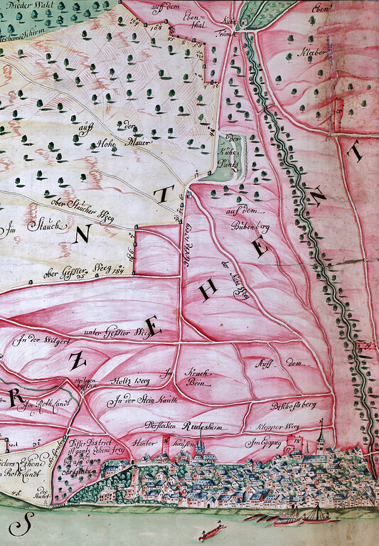 Karte der Gemarkung Rüdesheim (1749)