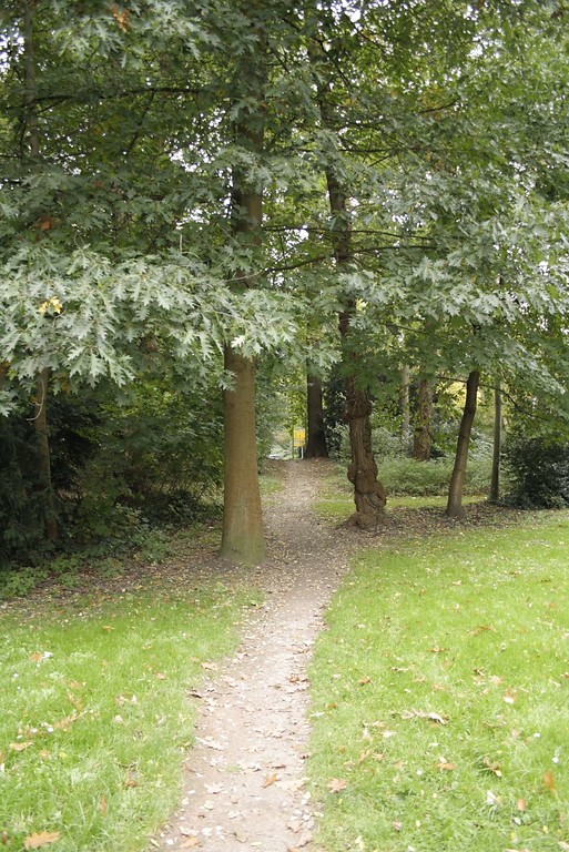 Ein Weg im etwas lichteren Randbereich des Weseler Glacis, er ist nur etwa einen halben Meter breit (2014).