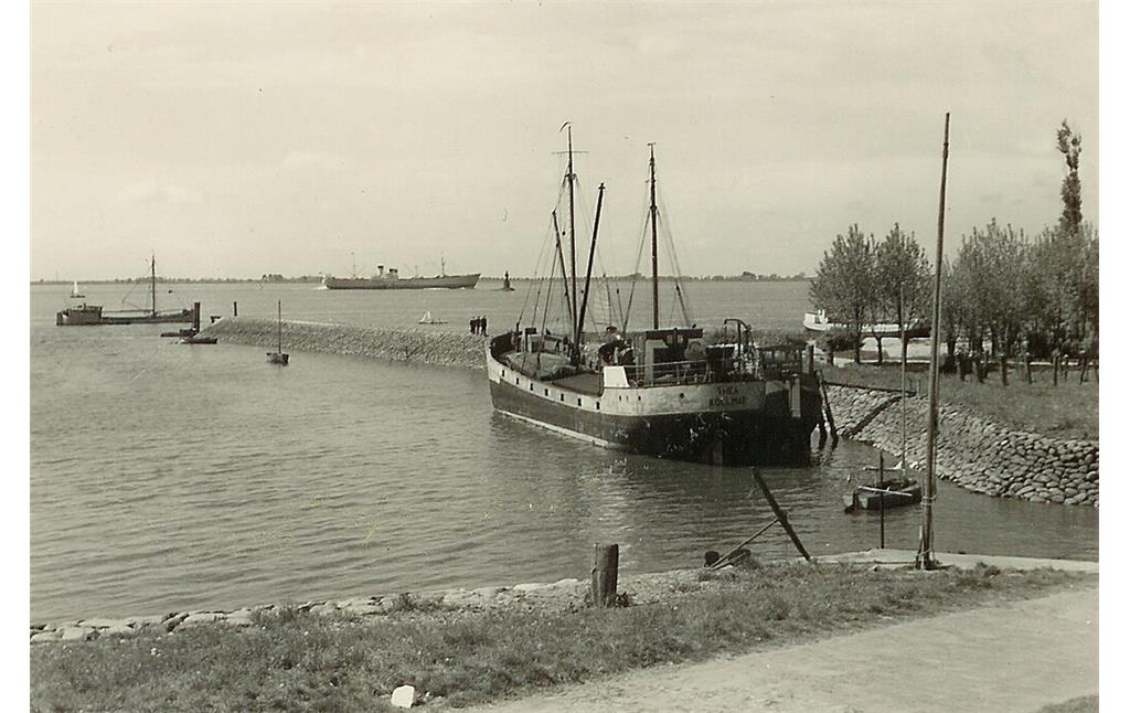 Hafen Kollmar (1950)