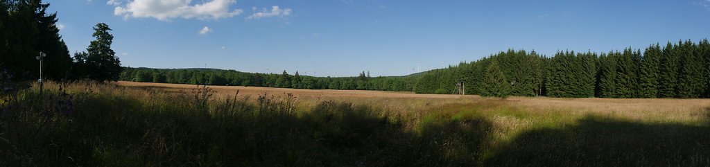 Glashütter Wiesen bei Argenthal (2016)