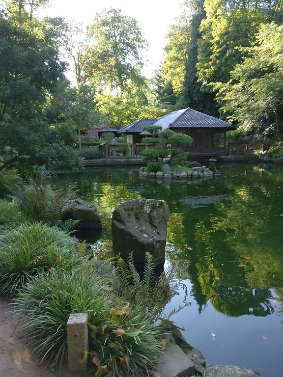 Teich im Japanischen Garten in Kaiserslautern mit Blick in Richtung einiger Pavillons (2017)