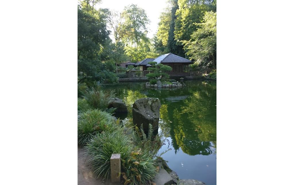 Teich im Japanischen Garten in Kaiserslautern mit Blick in Richtung einiger Pavillons (2017)