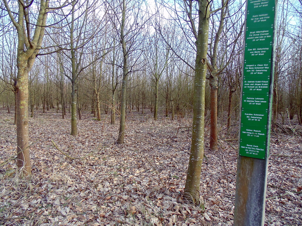 Blick auf einen Teil des Waldlabors im Stadtwald in Köln-Junkersdorf. Im Vordergrund ist einer der hölzernen Pfähle zu sehen, an denen Namen von privaten Spendern vermerkt sind, die die Umsetzung des Labors möglich machten (2021).