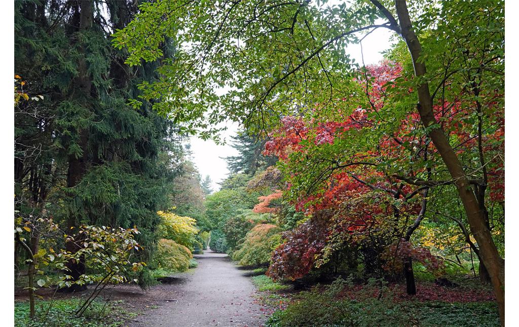 Herbstlicher Weg im Forstbotanischen Garten in Köln-Rodenkirchen (2021)