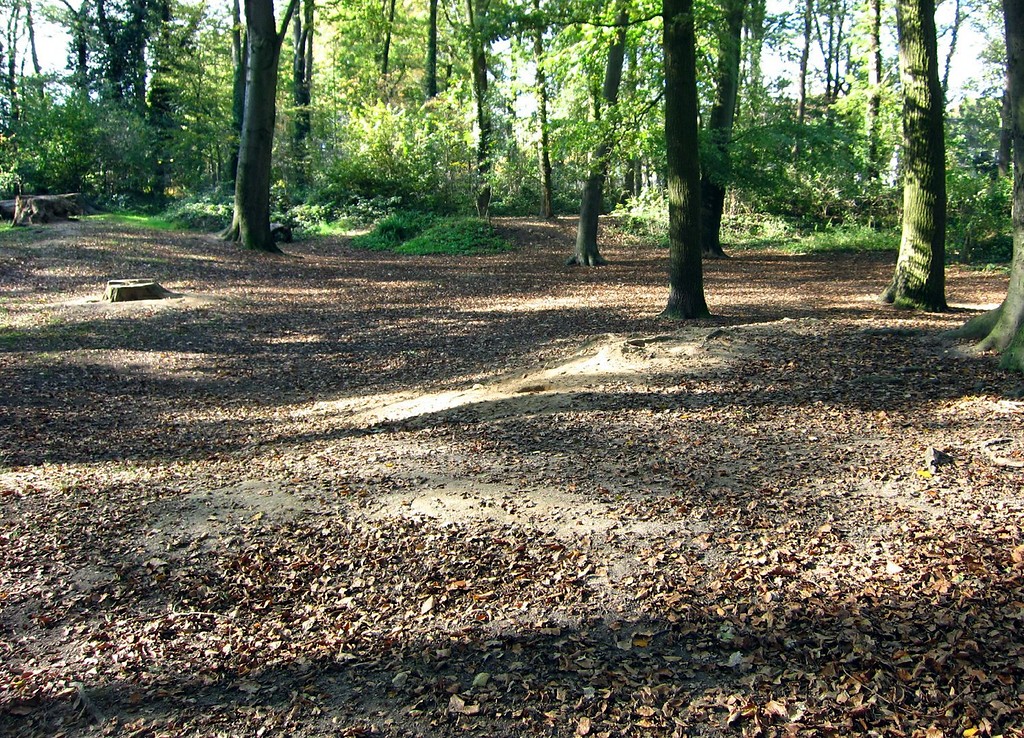 Lehmgrube am Bellenweg / Forstwaldstraße in Forstwald (2011)