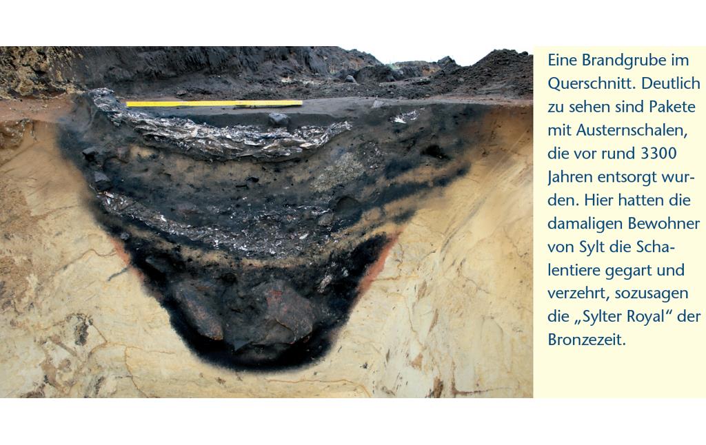 Mit Text erläuterte Abbildung zu einer Brandgrube am Morsum-Kliff im Querschnitt (2012).