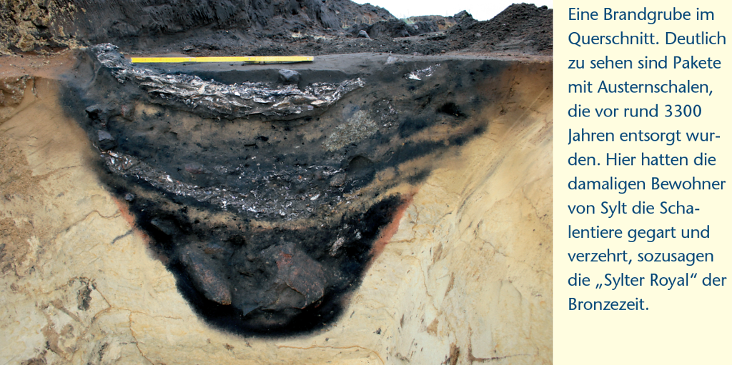 Mit Text erläuterte Abbildung zu einer Brandgrube am Morsum-Kliff im Querschnitt (2012).