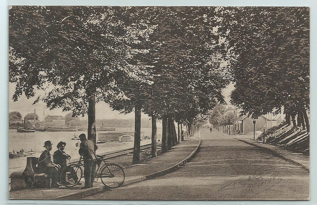 Die Rheinallee in Nierstein mit mächtigen Baumreihen an beiden Straßenseiten. Am Ufer ist zwischen den Bäumen die Badeanstalt zu erkennen (um 1900)