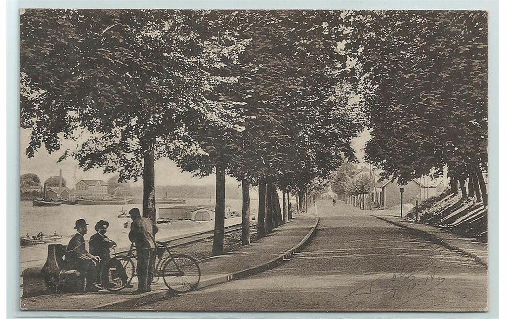 Die Rheinallee in Nierstein mit mächtigen Baumreihen an beiden Straßenseiten. Am Ufer ist zwischen den Bäumen die Badeanstalt zu erkennen (um 1900)