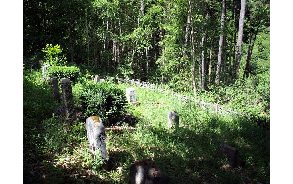 Blick über den Jüdischen Friedhof auf der Waldlichtung "Jünkern" bei Klotten (2011)