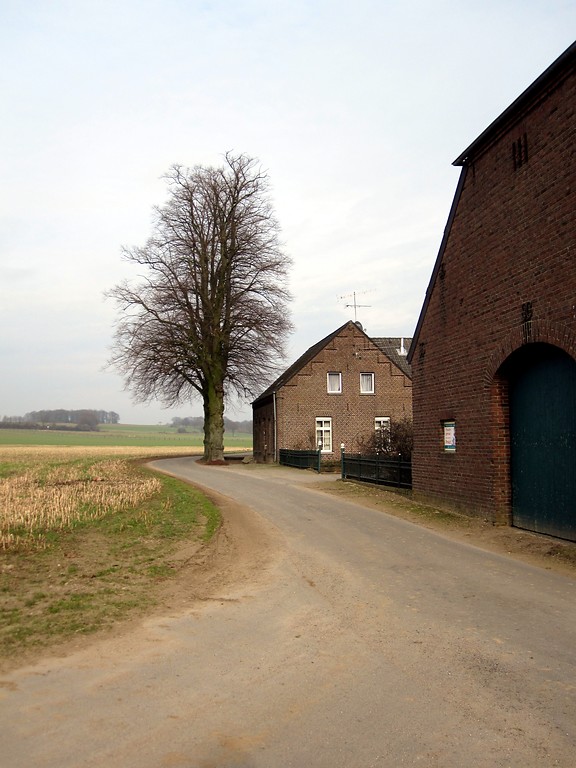 Der Scholtenhof, auch Willigen Hoff genannt, am Uedemerfelderweg in Uedemerfeld mit den beiden Linden vor dem Wohnhaus (2011).