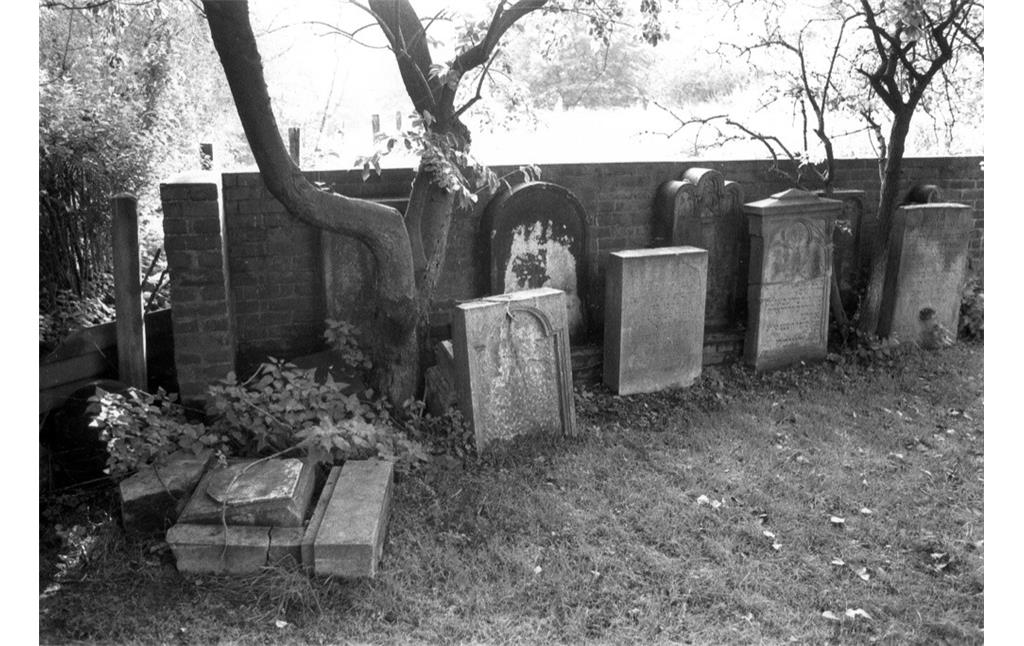 Grabsteine auf dem Jüdischen Friedhof Mattlerstraße / Mattlerbusch in Duisburg-Hamborn (1983)