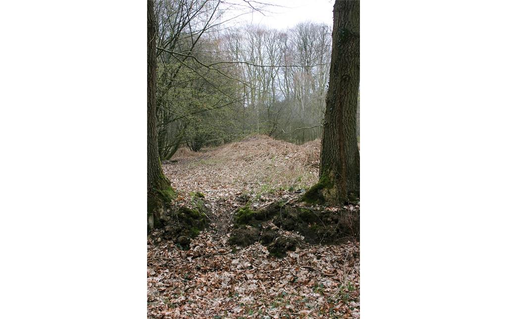 Großsteingrab "Langbett Albersdorf 50" im Steinzeitpark Dithmarschen (2019)