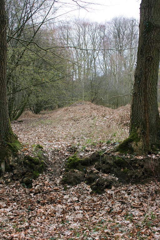 Großsteingrab "Langbett Albersdorf 50" im Steinzeitpark Dithmarschen (2019)