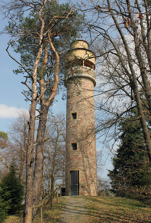 Sattelbergturm auf dem Sattelberg bei Seelen (2011)