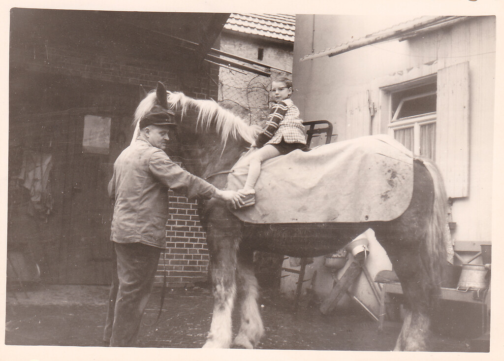 Pferd beim Hufebeschlagen in der Schmiede Hauptstraße 27 in Weitersweiler (1969)
