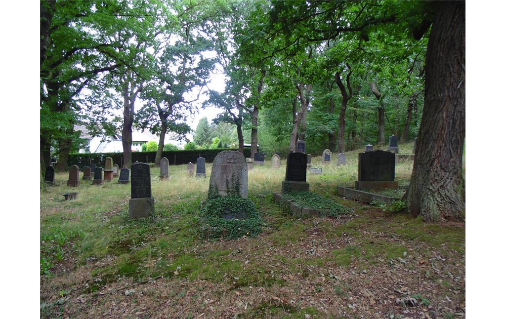 Jüdischer Friedhof Mechernich, Blick über das Gräberfeld (2020).