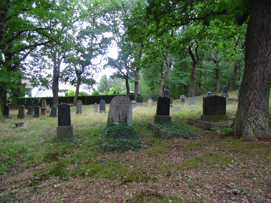 Jüdischer Friedhof Mechernich, Blick über das Gräberfeld (2020).