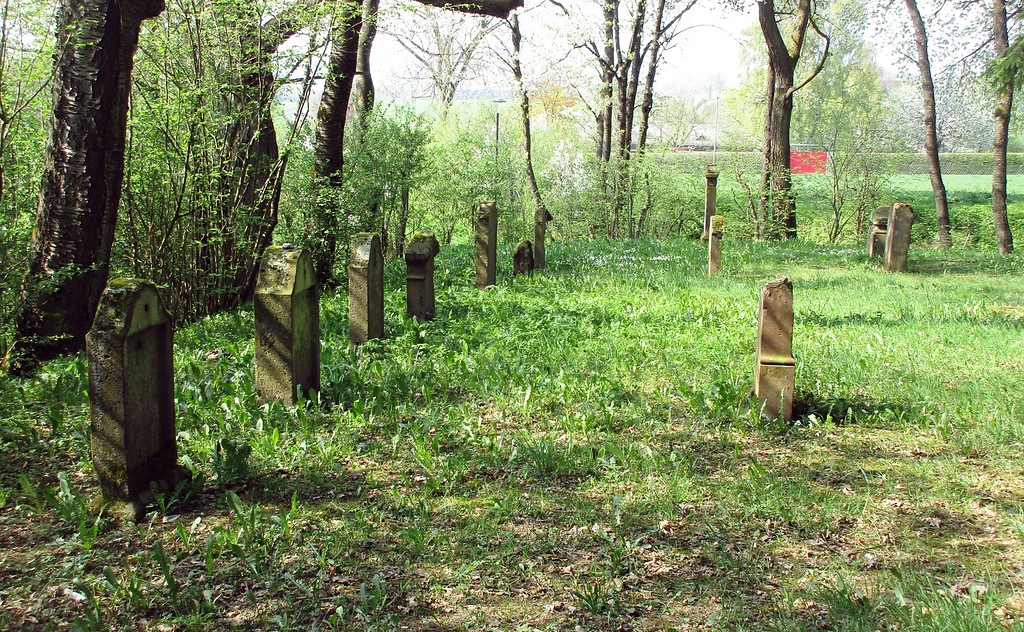 Jüdischer Friedhof Lutzerath: Das Gräberfeld aus südlicher Ansicht (2018).