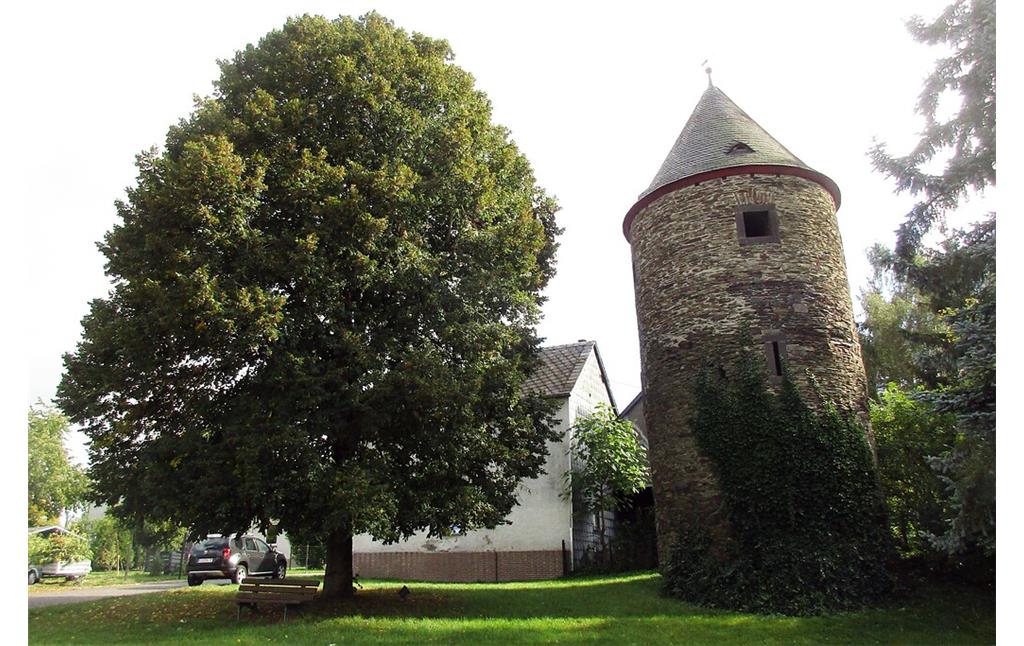 Blick von Westen her auf den "Alten Turm" der früheren Stadtbefestigung von Kaisersesch (2020), links im Bild ein mächtiger Lindenbaum.