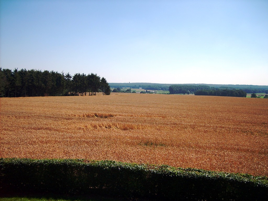 Ackerfläche im Uedemerfeld (2011)