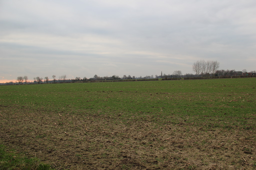 Landwirtschaftliche Nutzflächen der Uleushöfe (2013)