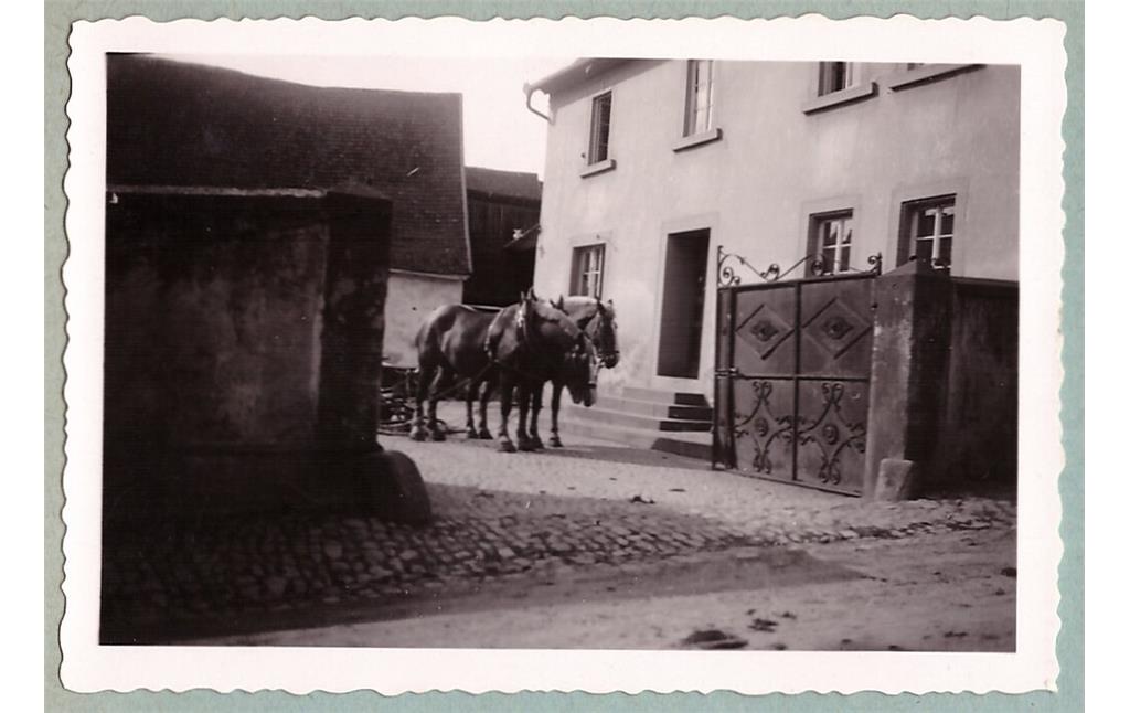Außenaufnahme des Dreiseithofs Hauptstraße 28 in Weitersweiler mit Pferdegespann aus dem Jahr 1942