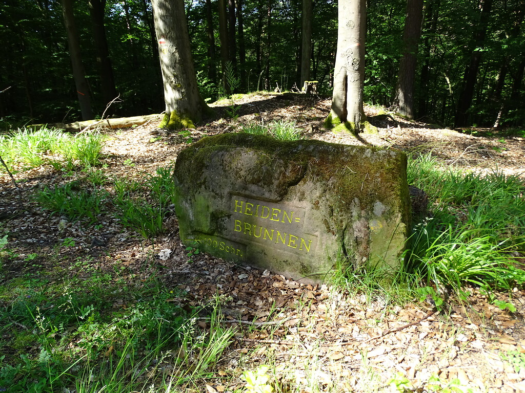 Ritterstein Nr. 142 "Heiden=Brunnen 100 Schr." nordwestlich von Esthal (2019)