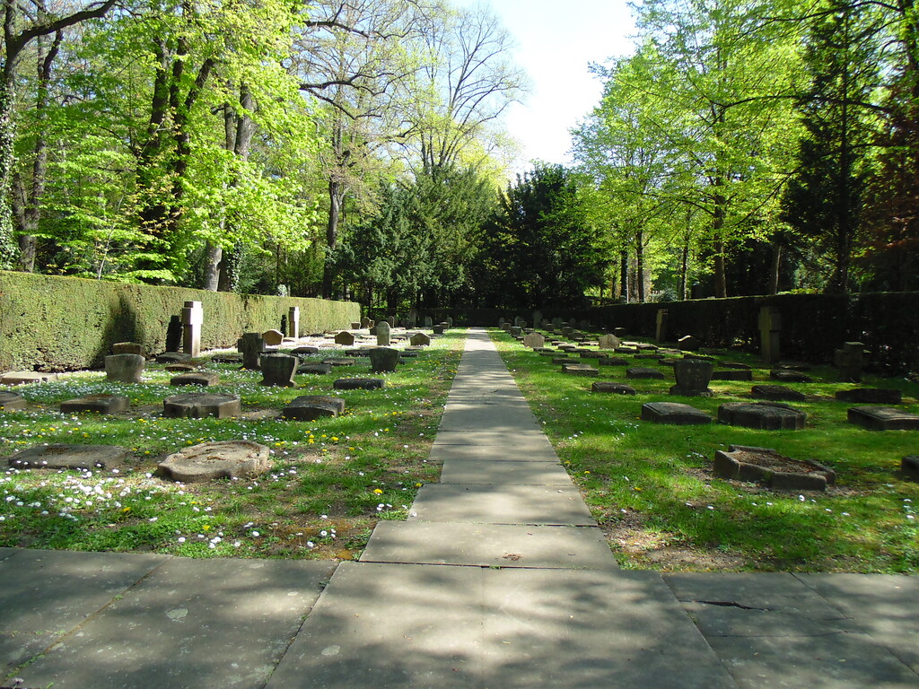 Individualisierte Gräberreihen des Ersten Weltkriegs auf dem Kriegsgräberfeld V1 auf dem Melatenfriedhof in Köln-Lindenthal(2020).