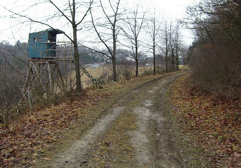Blick von der Ruine des ehemaligen "Führerhauptquartiers Felsennest" auf Rodert (2012).